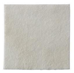 Curativo-Alginato-de-Calcio-e-Prata-Fita-44-X-3-cm-Hidrofibra-BIATAIN-AG-Coloplast-3780
