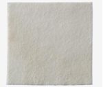 Curativo-Alginato-de-Calcio-e-Prata-15x15cm-Hidrofibra-BIATAIN-AG-Coloplast-3765